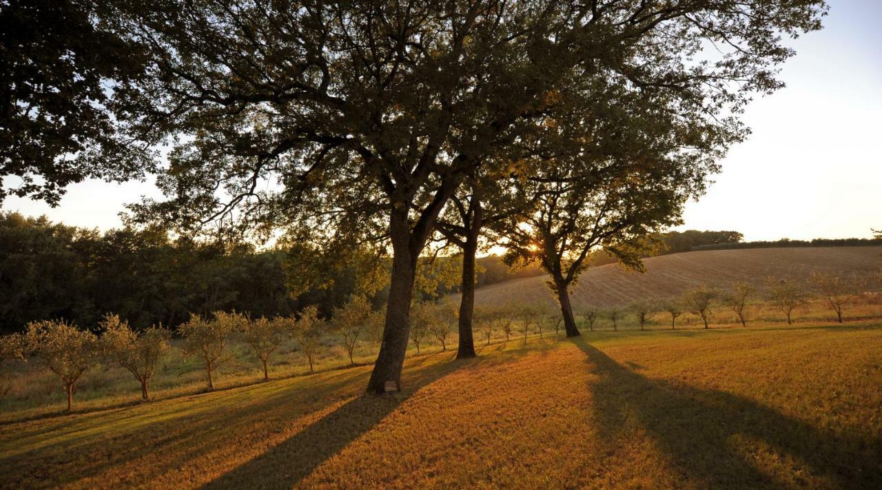 Agriturismo Podere Campinovi Colle di Val d'Elsa Exterior foto